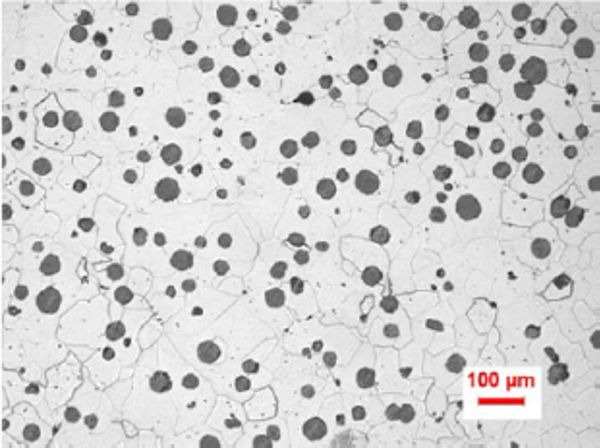 Observation of the mechanical properties in microscope